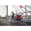 Fotografia, na której jest Przyczepka rowerowa dla dziecka - THULE Chariot Cross 2 - czerwona/szara