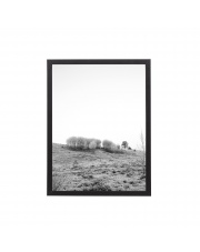 Obrazek w ramie NATURA / B&W (30x40) - Bloomingville