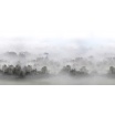 Fotografia, na której jest Fototapeta REBEL WALLS | Morning Fog