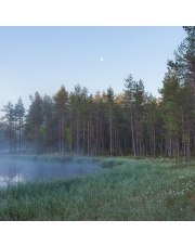 Fototapeta REBEL WALLS | SCANDINAVIA Forest Lake