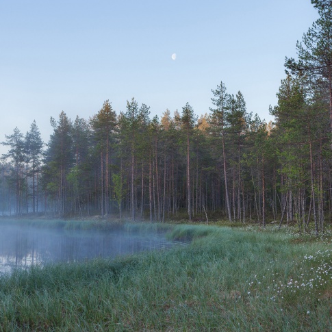 Fotografia, na której jest Fototapeta REBEL WALLS | SCANDINAVIA Forest Lake