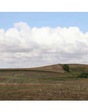 Fototapeta REBEL WALLS | SCANDINAVIA Cropland