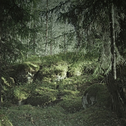 Fotografia, na której jest Fototapeta REBEL WALLS | SCANDINAVIA Virgin Forest