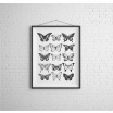 Fotografia, na której jest Plakat Motyle Nº1 - kreska