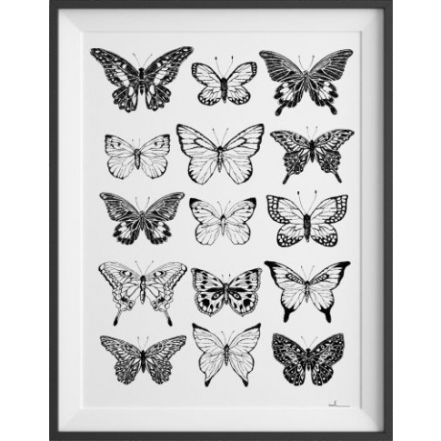 Fotografia, na której jest Plakat Motyle Nº1 - kreska