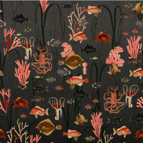 Fotografia, na której jest Fototapeta AQUATIC LIFE, SHADOWS | Moss & Coral REBEL WALLS