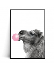 Plakat WIELBŁĄD BUBBLE GUM - Fox Art Studio