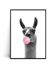 Plakat LAMA BUBBLE GUM - Fox Art Studio