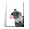 Fotografia, na której jest Plakat KOALA BUBBLE GUM - Fox Art Studio