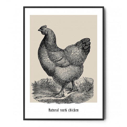 Fotografia, na której jest Plakat NATURAL CHICKEN - Fox Art Studio