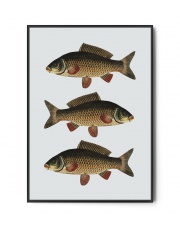 Plakat KARP - Fox Art Studio