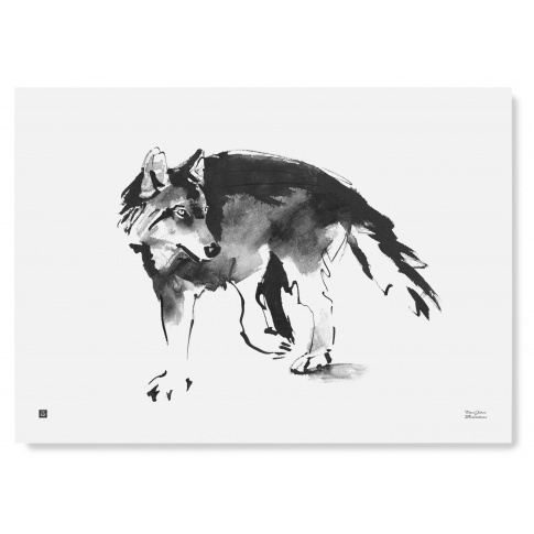 Fotografia, na której jest Plakat WILK | Wolf art print 50 x 70 cm