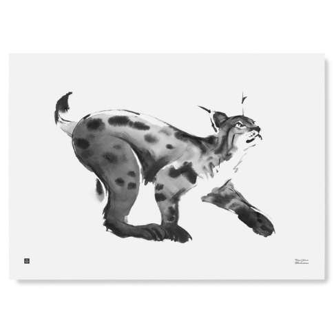 Fotografia, na której jest Plakat RYŚ | Lynx art print 50 x 70 cm