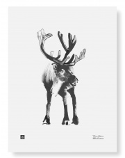 Plakat RENIFER | Reindeer art print 30 x 40 cm