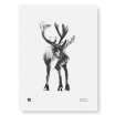 Fotografia, na której jest Plakat RENIFER | Reindeer art print 30 x 40 cm