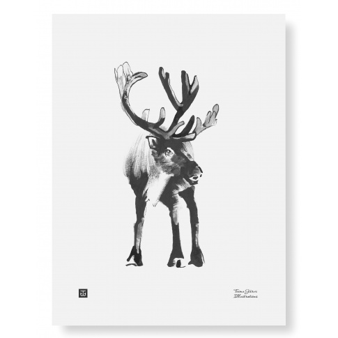 Fotografia, na której jest Plakat RENIFER | Reindeer art print 30 x 40 cm