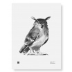 Fotografia, na której jest Plakat SOWA | Owl art print