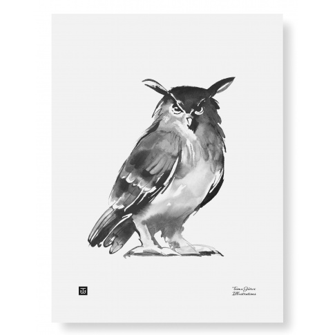 Fotografia, na której jest Plakat SOWA | Owl art print