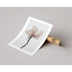 Fotografia, na której jest Plakat MINIMALISTYCZNA MAGNOLIA - Fox Art Studio