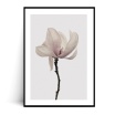 Fotografia, na której jest Plakat MINIMALISTYCZNA MAGNOLIA - Fox Art Studio