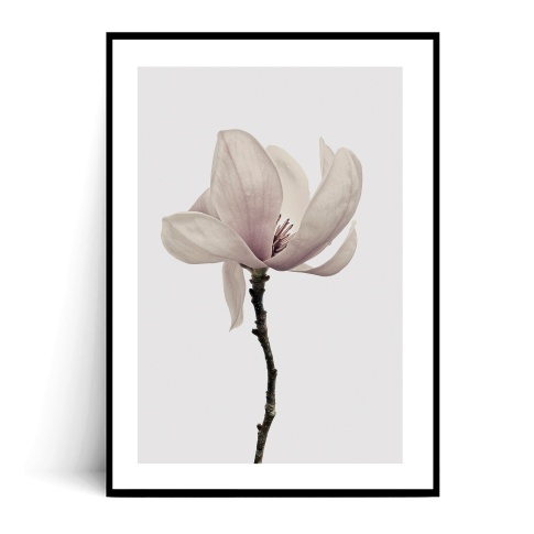 Fotografia, na której jest Plakat MINIMALISTYCZNA MAGNOLIA - Fox Art Studio