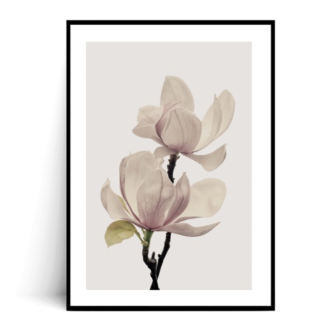 Fotografia, na której jest Plakat MINIMALISTYCZNA MAGNOLIA no.1 - Fox Art Studio