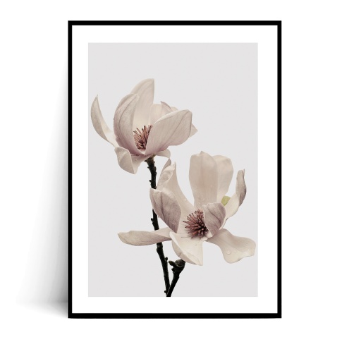 Fotografia, na której jest Plakat MINIMALISTYCZNA MAGNOLIA no.2 - Fox Art Studio