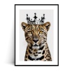 Fotografia, na której jest Plakat GEPARD W KORONIE 