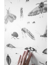 Plakat owad Bug World